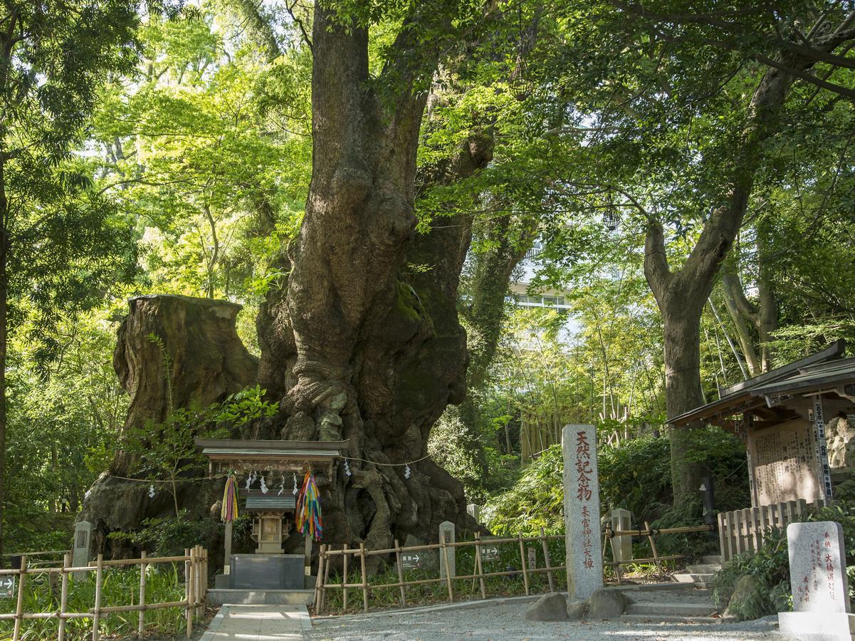 Tkp Lectore Atami Momoyama Zewnętrze zdjęcie
